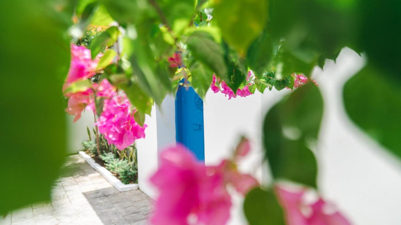 Villa Diola 3 Canggu  Ngoại thất bức ảnh